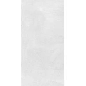 GRES CERÁMICO INOUT PULIDO 55 X 110  DELFIN 57040 CAJA X 1,80 M2 1º
