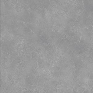 PORCELANATO ALBERDI NATURAL 60 X 60 CENTURY PLATINO CAJA X 2,88 M2 1°