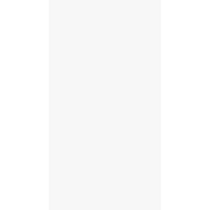 GRES CERAMICO MEGGAGRES PULIDO 62 X 119  SOHO WHITE  CAJA X 2,20 M2 1º