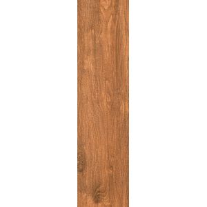 PORCELANICO MEGGAGRES NATURAL 22 X 90 BOSQUE CAJA X 1,80 M2 1º