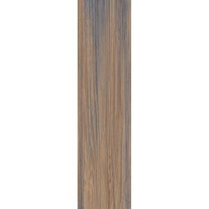 PORCELANICO MEGGAGRES NATURAL  22 X 90 OLIVEIRA CAJA X 1,80 M2 1º