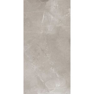 PORCELANATO PULIDO MONACO GRIS CERRO NEGRO 58 X 117 1° CAJA X 1,35 M2