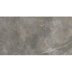 PORCELANATO PORTINARI NATURAL 58 X 117 MAGNUM DGR CAJA X 1,37 M2 1º
