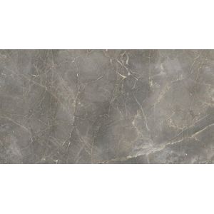 PORCELANATO PORTINARI NATURAL 58 X 117 MAGNUM DGR CAJA X 1,37 M2 1º