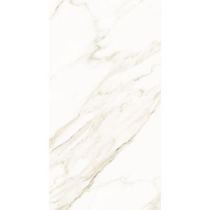 PORCELANICO MEGGAGRES NATURAL 63 X 120 VIENA CAJA X 2,25 M2 1º