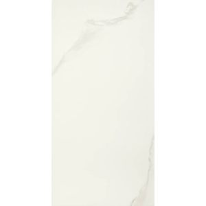 PORCELANATO PORTOBELLO NATURAL 60 X120 MICHELANGELO CAJA X 1,44 M2 1º