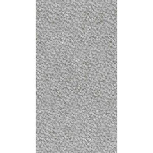 REVESTIMIENTO MEGGAGRES NATURAL 63 X 120 QUASAR SILVER CAJA X 2,25 M2 1º