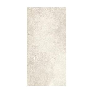 PORCELANATO ALBERDI NATURAL 60 X 120 MONTREAL LIGHT CAJA X 2,16 M2 1°