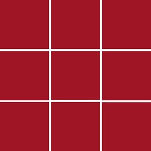 GRES CERAMICO PARA PILETA TECNOGRES 10 X 10 ROJO BR 10110 1º CAJA X 1,44 M2 1°