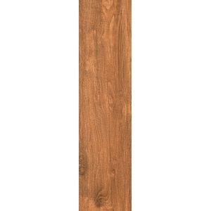 PORCELANICO MEGGAGRES NATURAL 22 X 90 BOSQUE CAJA X 1,80 M2 1º