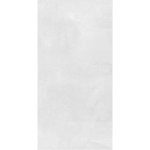 GRES RECTIFICADO INOUT PULIDO 55 X 110 DELFIN 57040 CAJA X 1,80 M2 1º