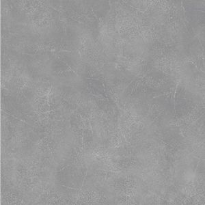 PORCELANATO ALBERDI NATURAL 60 X 60 CENTURY PLATINO CAJA X 2,88 M2 1°
