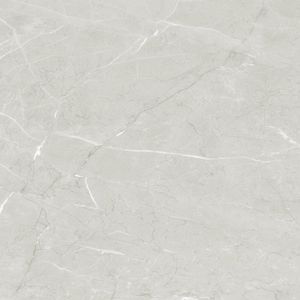 PORCELANATO DELTA NATURAL 120 X120 ARMANI ACQUA CAJA X 2,88 M2 1º