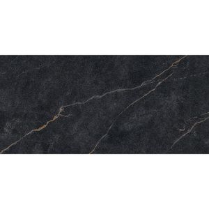 PORCELANATO DELTA PULIDO 60 X 120 VENE DORO CAJA X 2,88 M2 1º